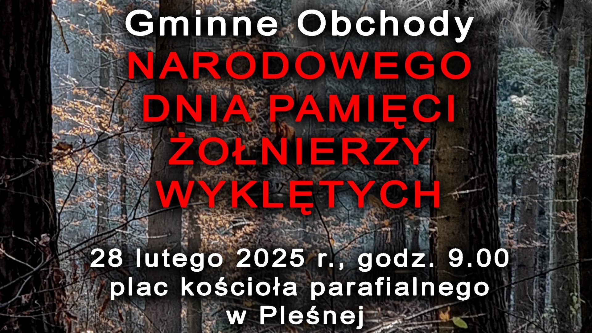 Napis Gminne Obchody Narodowego Dnia Pamięci Żołnierzy Wyklętych wraz z datą wydarzenia. W tle widoczny las.